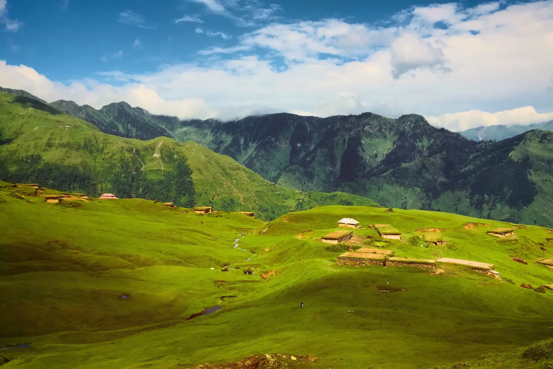 Ali Bedni Bugyal Trek