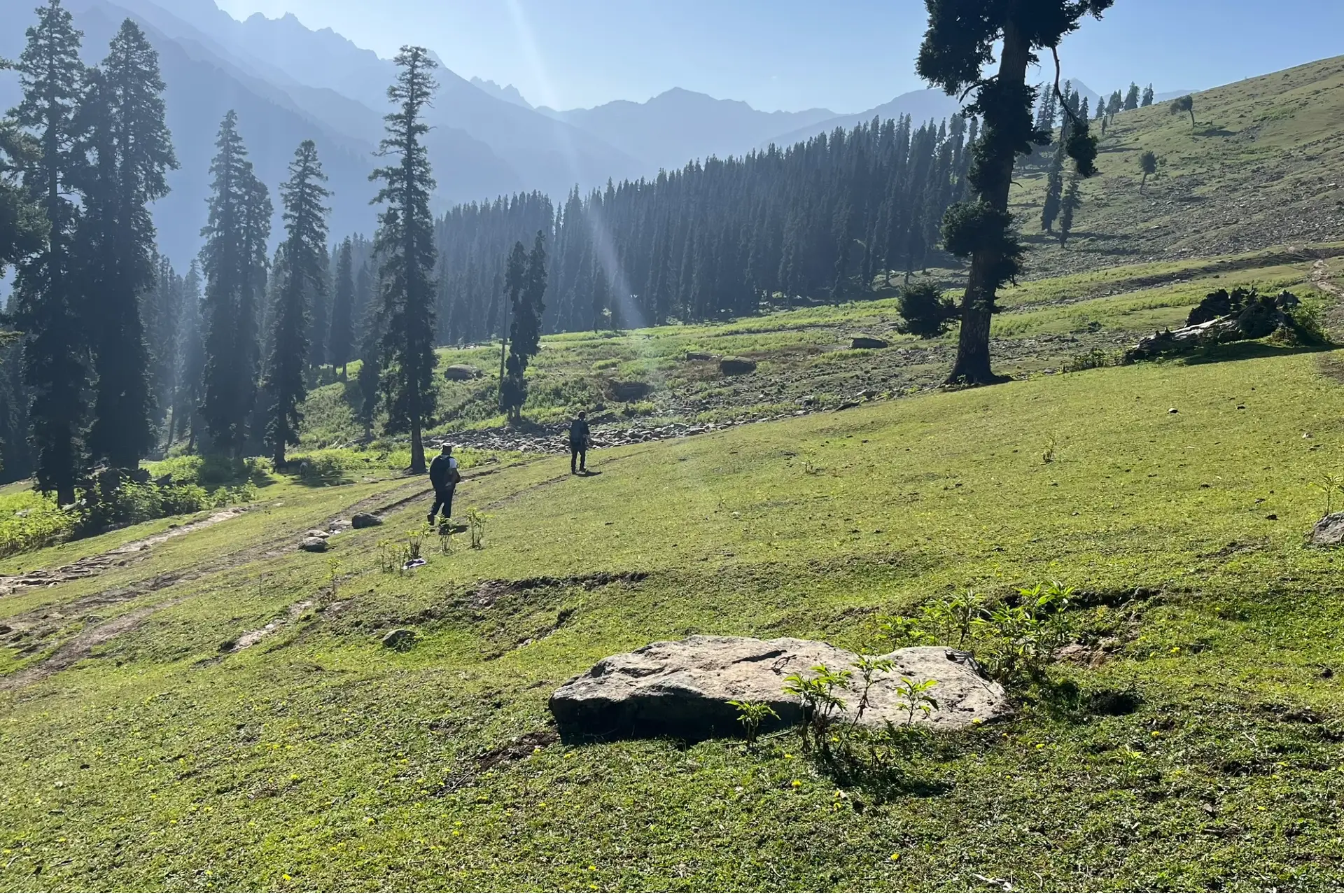 Himachal Pradesh