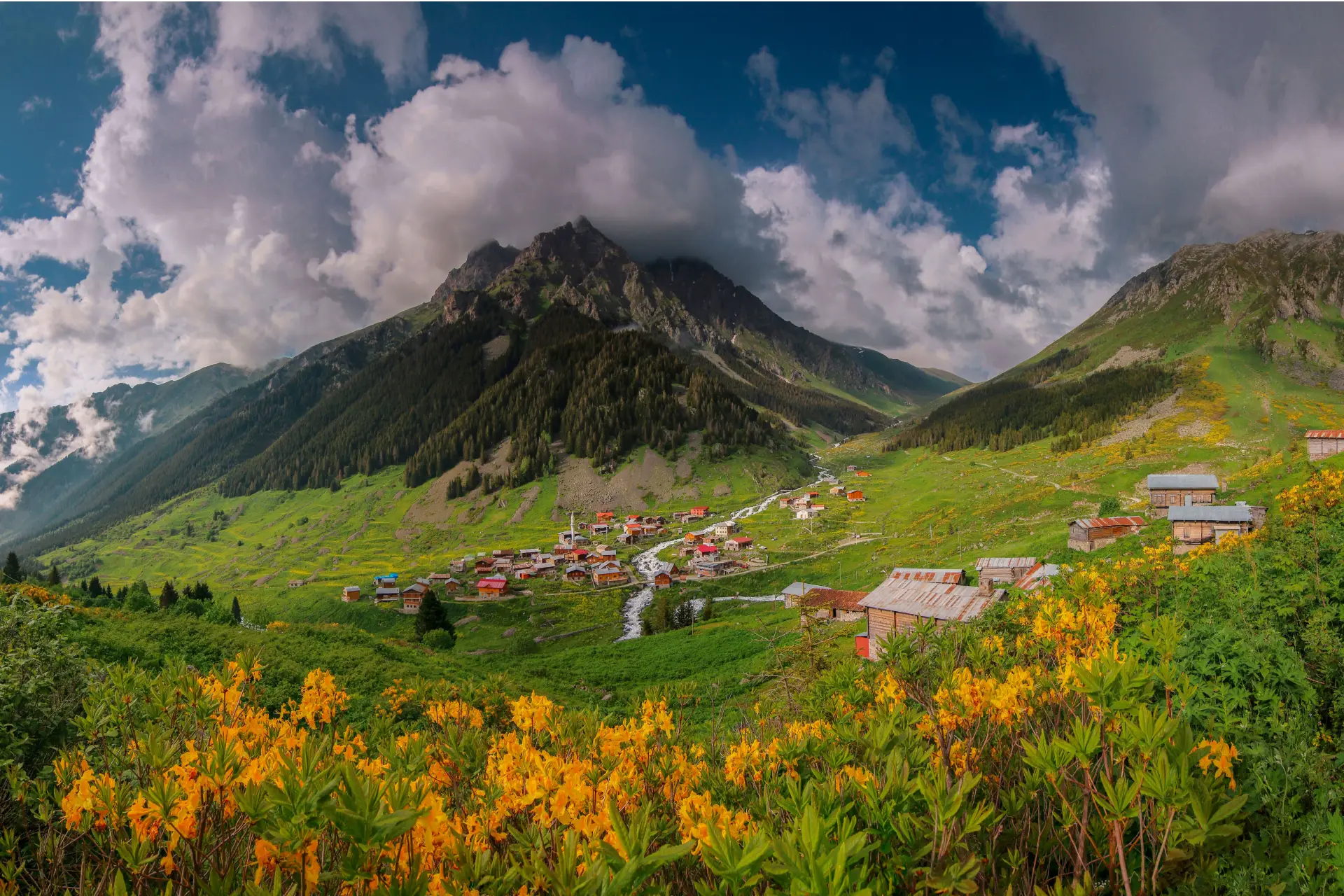 Valley of Flowers Trek